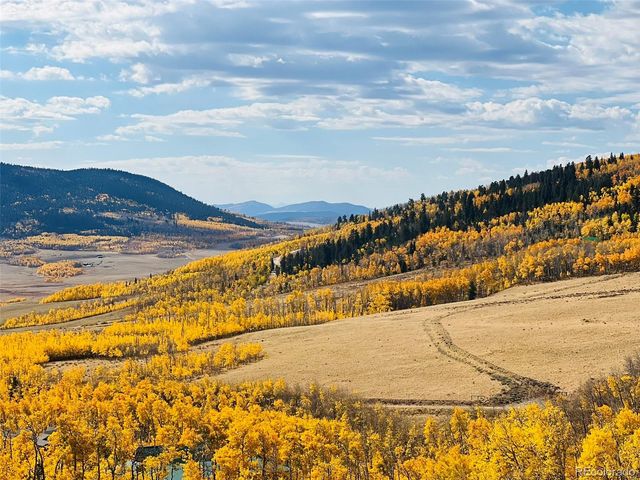 2861 High Creek Road, Fairplay, CO 80440