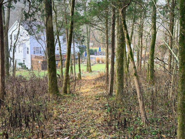 2870 Leonard Creek Ln, Arrington, TN 37014
