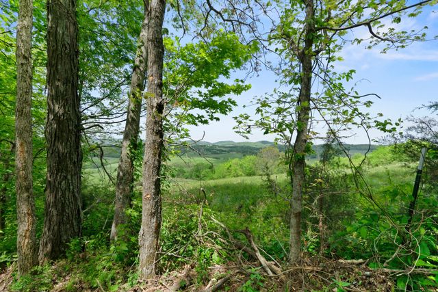 2870 Leonard Creek Ln, Arrington, TN 37014