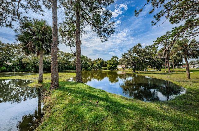 6321 EMERSON DRIVE, New Port Richey, FL 34653