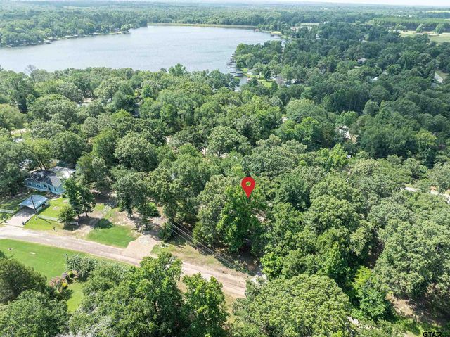 190 E Sycamore Lane, Murchison, TX 75778