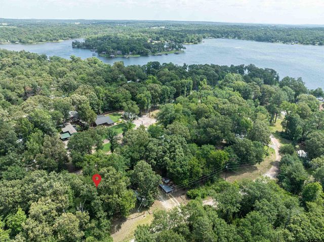 190 E Sycamore Lane, Murchison, TX 75778
