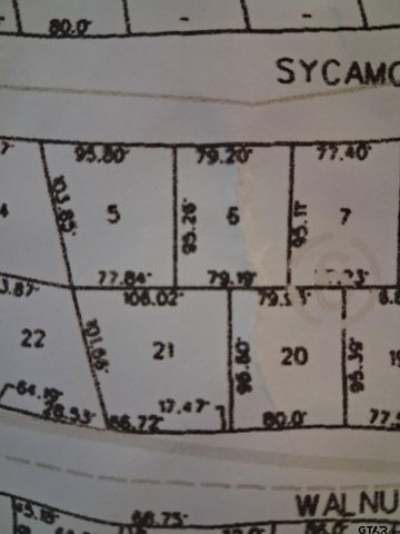 190 E Sycamore Lane, Murchison, TX 75778