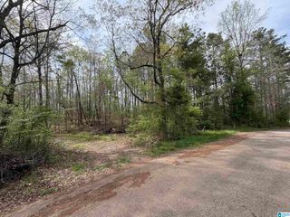 0 JAMES LAKE ROAD, Trussville, AL 35173