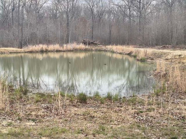 16588 Highway 70, N, Monterey, TN 38574