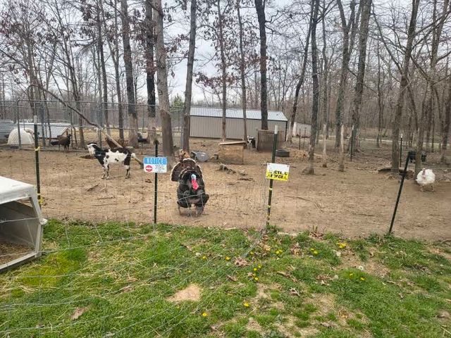 16588 Highway 70, N, Monterey, TN 38574
