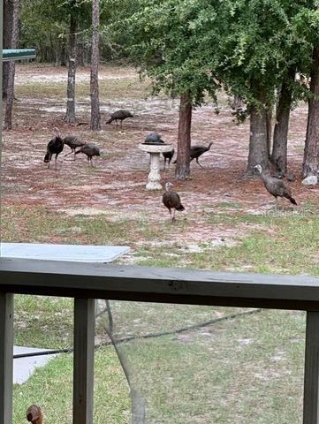 11160 NW 5TH AVENUE, Branford, FL 32008