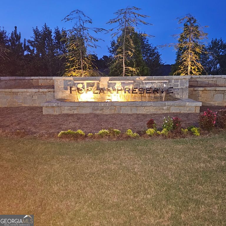 229 Lauritsen Way, Newnan, GA 30265 — photo 2