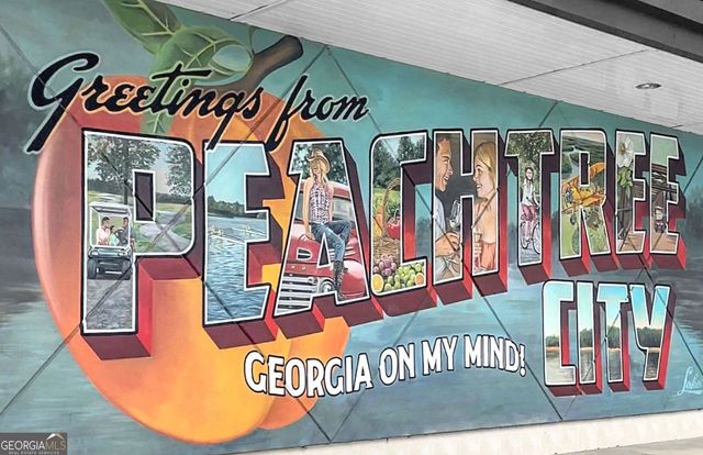 901 Mickleton Lane, Peachtree City, GA 30269