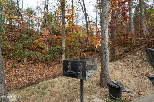 513 Golf Rd, Pigeon Forge, TN 37863