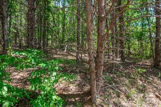 Lot 12 Meadow Crossing Drive, Rutherfordton, NC 28139