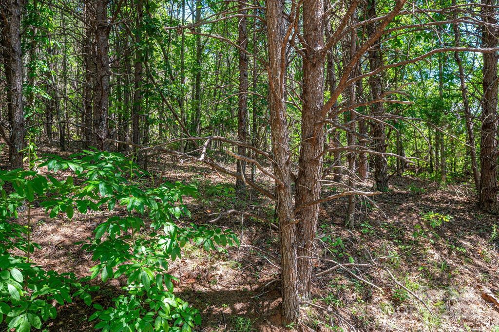 Lot 12 Meadow Crossing Drive, Rutherfordton, NC 28139