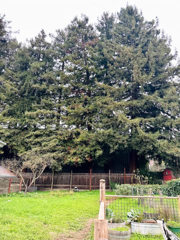 108 Pierson St, Santa Rosa, CA 95401