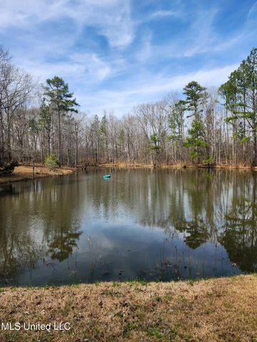 5472 Dry Grove Road, Terry, MS 39170