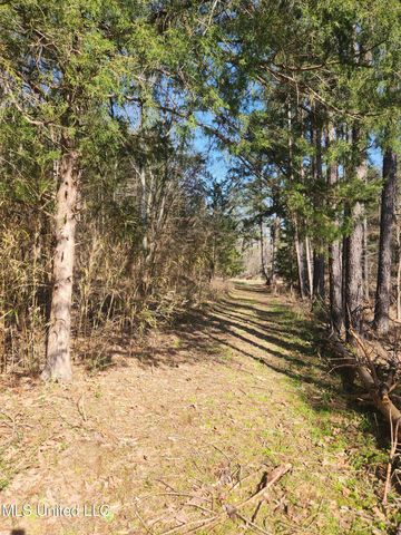 5472 Dry Grove Road, Terry, MS 39170