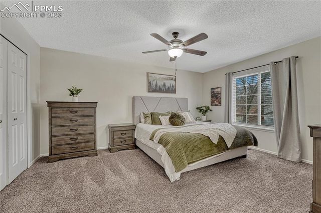 2935 Rolling Wood Loop, Colorado Springs, CO 80918