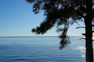 206 Bridgeway, Onalaska, TX 77360