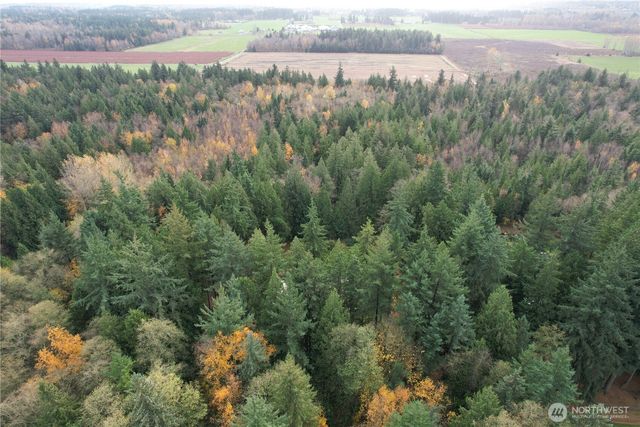 8085 Audra Lane, Custer, WA 98240