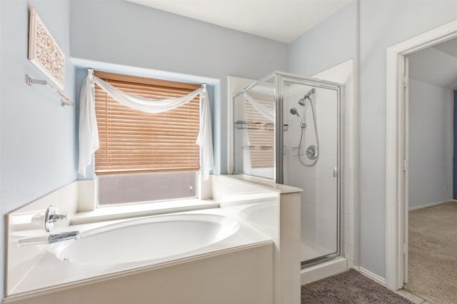 14127 Austin Hollow Court, Houston, TX 77044