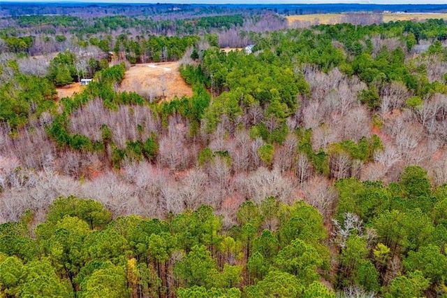 475 Rance Foster Road, Bowdon, GA 30108