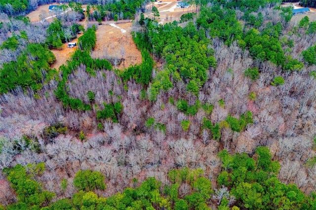 475 Rance Foster Road, Bowdon, GA 30108