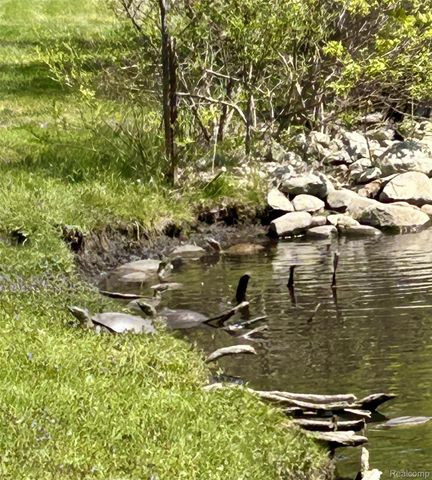 9831 Kress Road, Hamburg Township, MI 48169