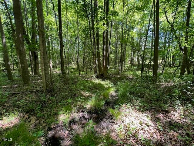 4721 Edwards Drive, Apex, NC 27539