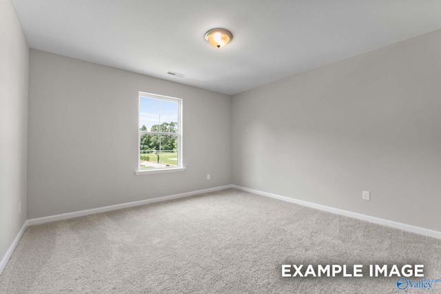 8117 Goose Ridge Drive, Owens Cross Roads, AL 35763