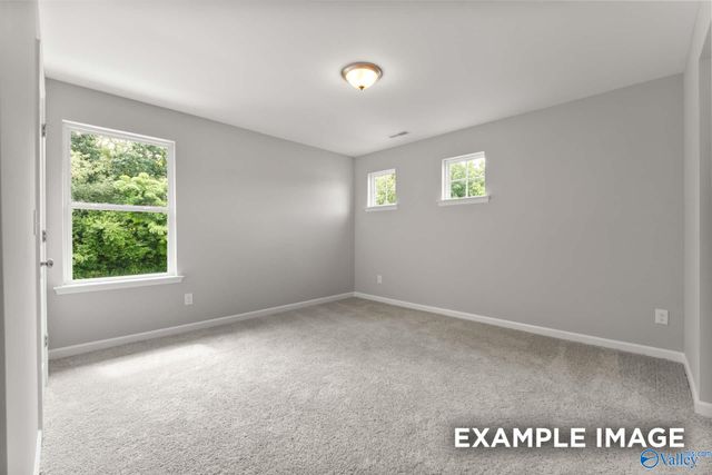 8117 Goose Ridge Drive, Owens Cross Roads, AL 35763