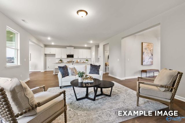 8117 Goose Ridge Drive, Owens Cross Roads, AL 35763