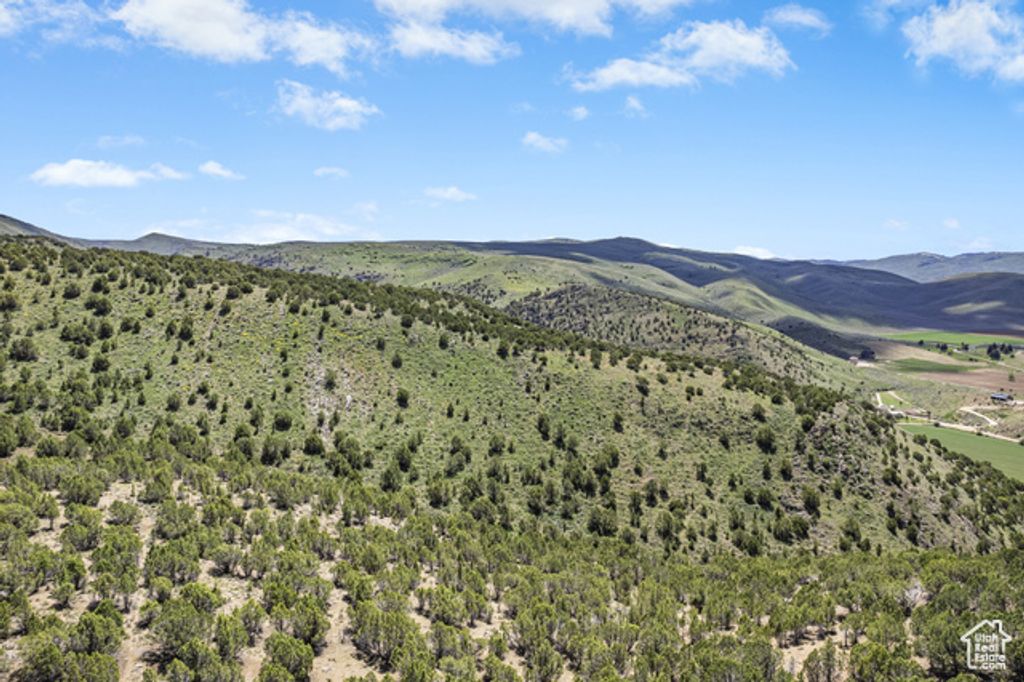 Image 11 of property listing at 1 HWY 30 AND OTTER CREEK RD, Laketown, UT 84038