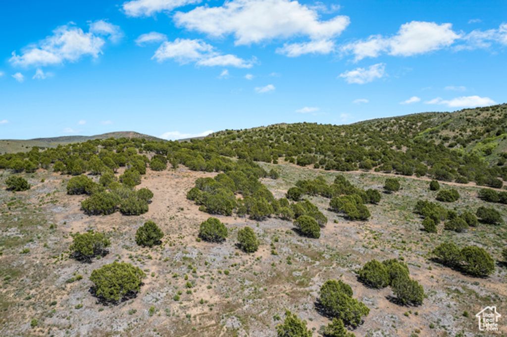 Image 13 of property listing at 1 HWY 30 AND OTTER CREEK RD, Laketown, UT 84038