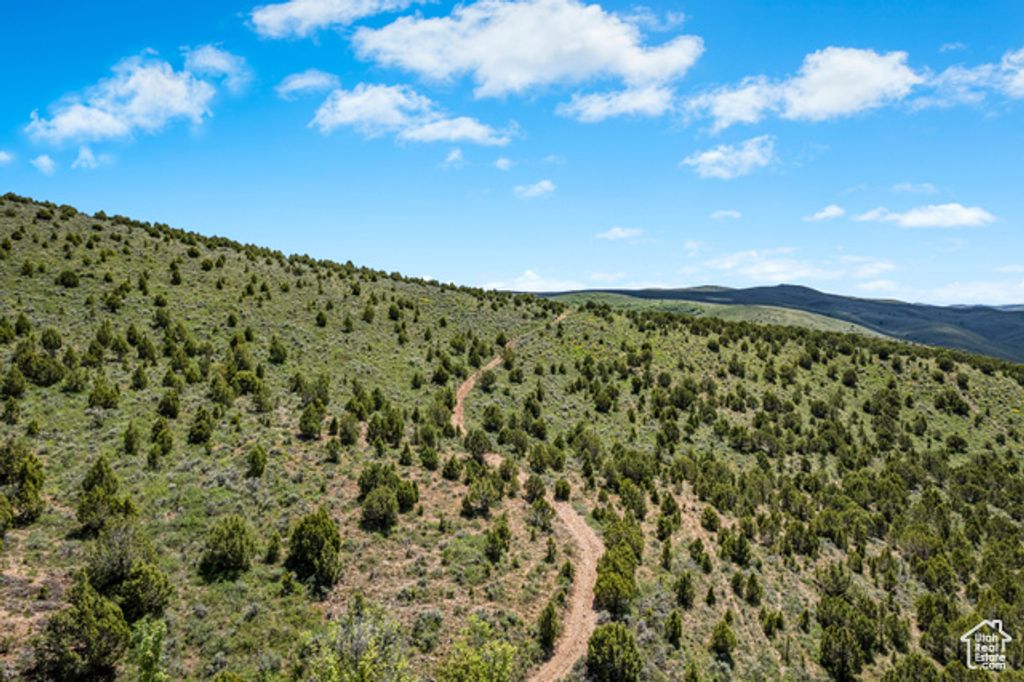 Image 16 of property listing at 1 HWY 30 AND OTTER CREEK RD, Laketown, UT 84038