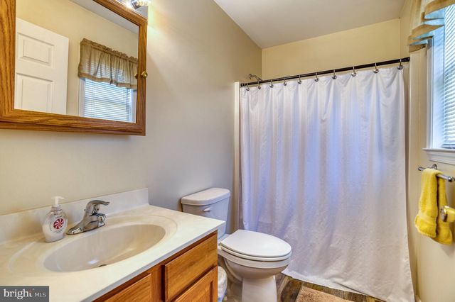11165 DROGHEDA MOUNTAIN RD, Rixeyville, VA 22737