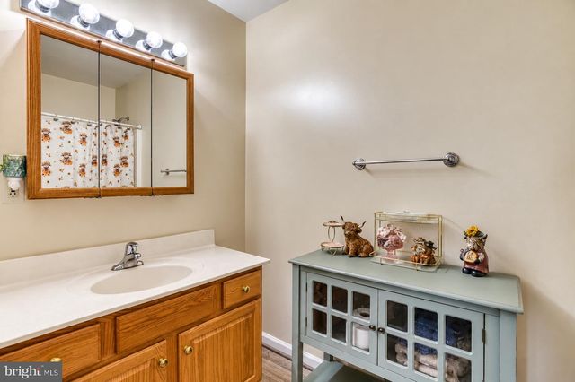 11165 DROGHEDA MOUNTAIN RD, Rixeyville, VA 22737