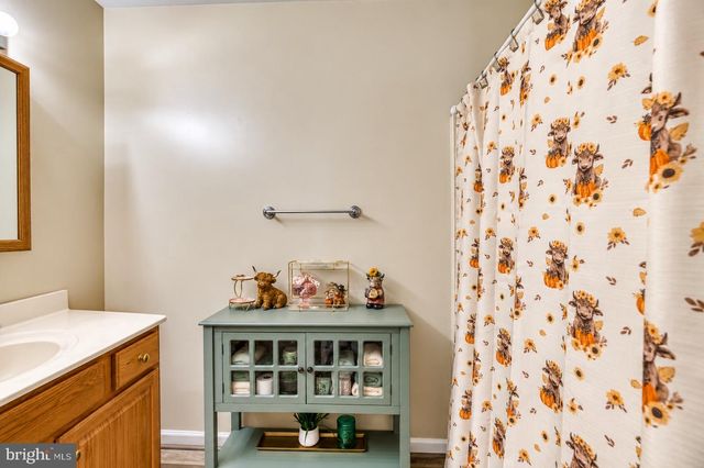 11165 DROGHEDA MOUNTAIN RD, Rixeyville, VA 22737