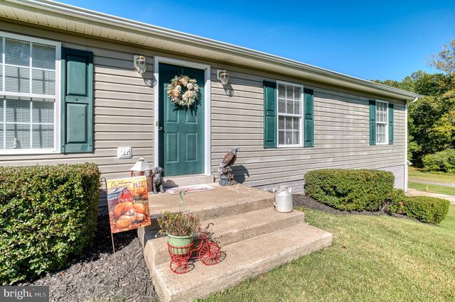 11165 DROGHEDA MOUNTAIN RD, Rixeyville, VA 22737