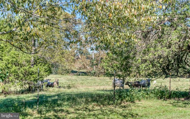 11165 DROGHEDA MOUNTAIN RD, Rixeyville, VA 22737