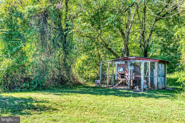 11165 DROGHEDA MOUNTAIN RD, Rixeyville, VA 22737