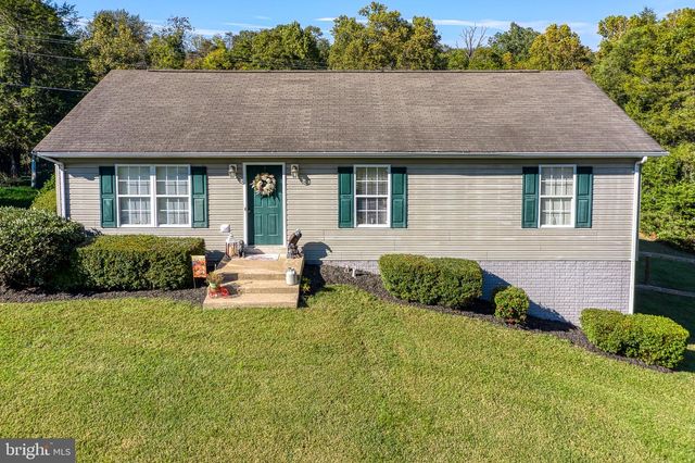 11165 DROGHEDA MOUNTAIN RD, Rixeyville, VA 22737