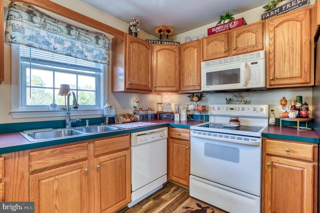 11165 DROGHEDA MOUNTAIN RD, Rixeyville, VA 22737