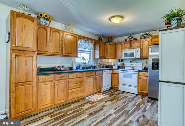 11165 DROGHEDA MOUNTAIN RD, Rixeyville, VA 22737