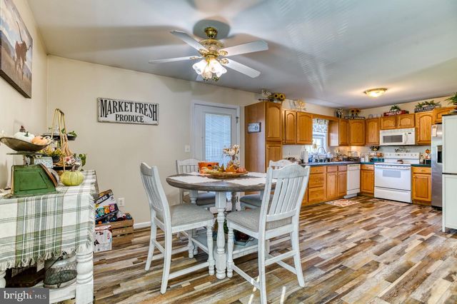 11165 DROGHEDA MOUNTAIN RD, Rixeyville, VA 22737