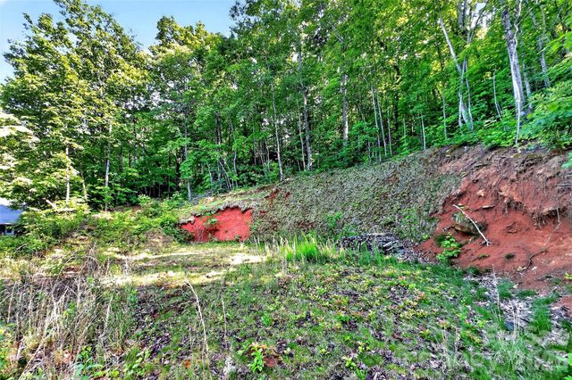 696 Hickory Nut Hollow, Old Fort, NC 28762