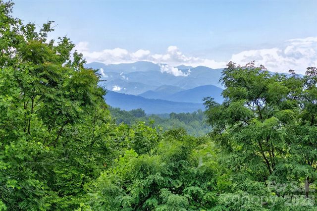 696 Hickory Nut Hollow, Old Fort, NC 28762