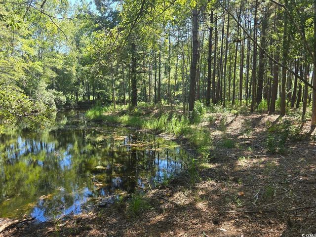TBD Allen Dew Rd., Conway, SC 29527