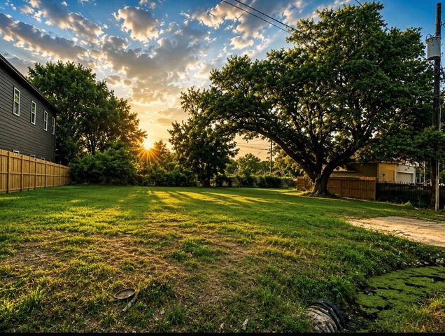 409 N Carolina Street, Houston, TX 77029