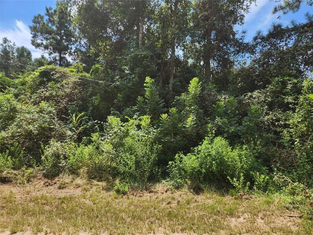 Lot 27 Mayhaw Lane, Plantersville, TX 77363