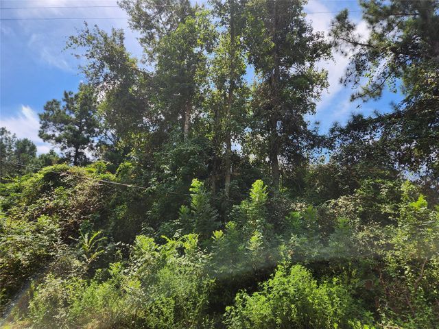 Lot 27 Mayhaw Lane, Plantersville, TX 77363