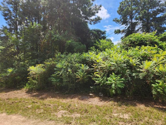 Lot 27 Mayhaw Lane, Plantersville, TX 77363